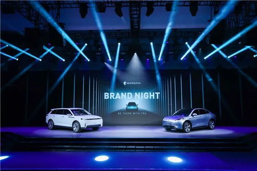 眾泰復(fù)興之路 新勢(shì)力能否以信息科技賦能技術(shù)開(kāi)發(fā)？